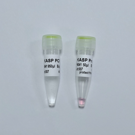 KASP PCR MixPlus