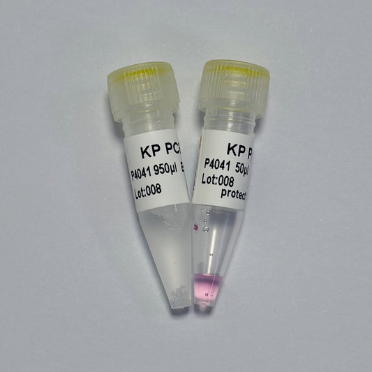 KP PCR Master MixPlus