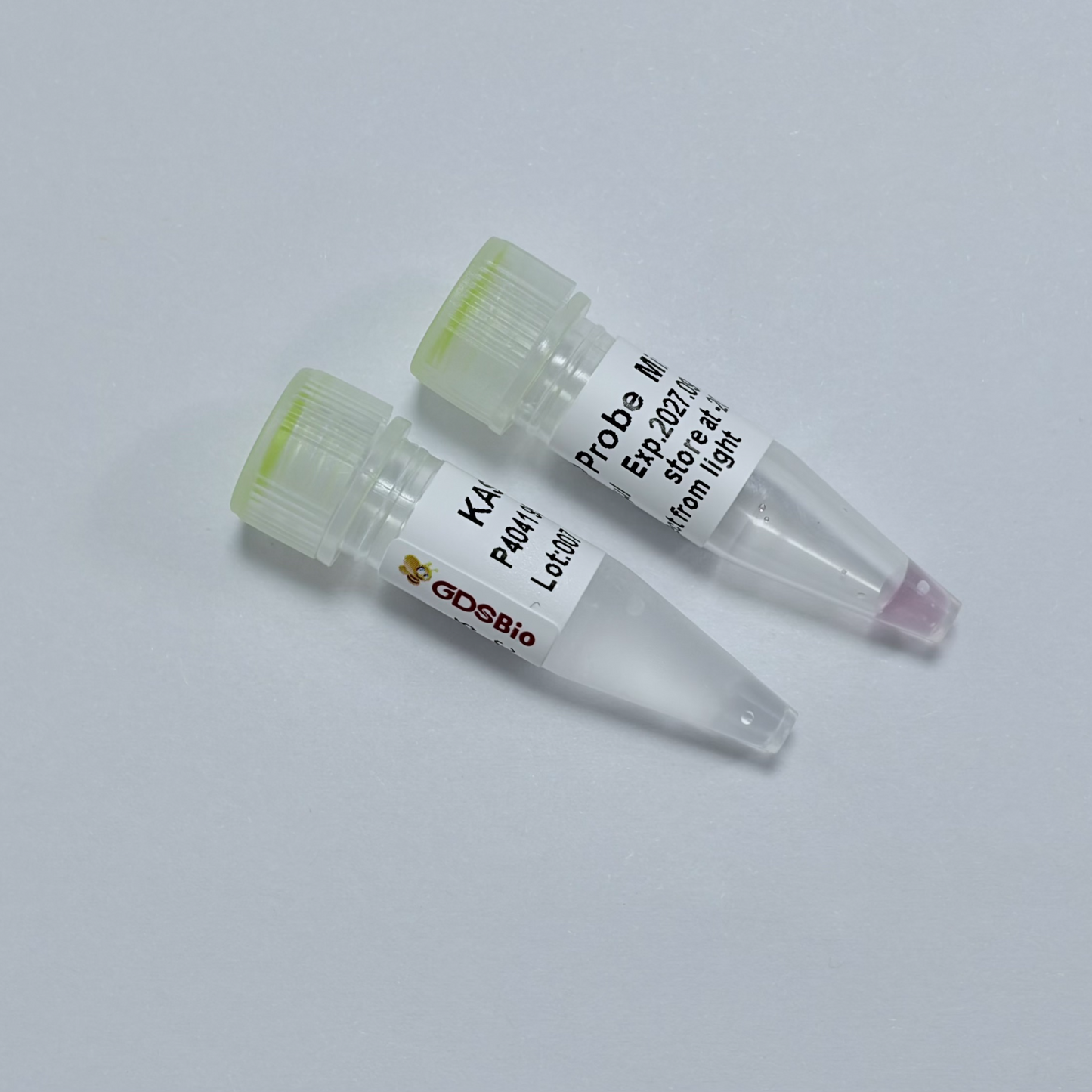 KASP PCR MixPlus