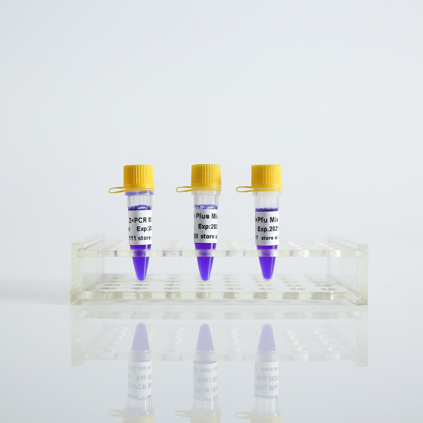 Hotstart KnTaq Polymerase