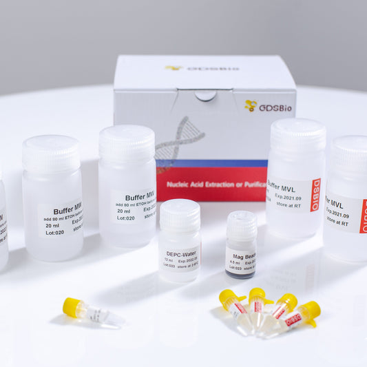 Swab/Saliva Viral DNA/RNA Extraction Kit (Magnetic Beads)